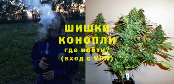PSILOCYBIN Армянск