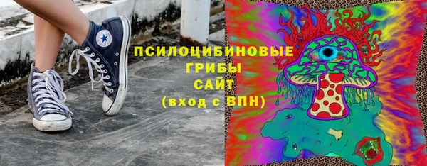 мяу мяу мука Аркадак