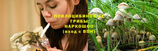 PSILOCYBIN Армянск