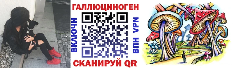 Псилоцибиновые грибы мухоморы  Сокол 